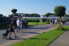 1_IMGP7312