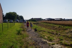 1_IMGP7347