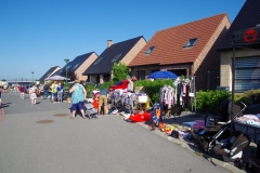 1_IMGP7355