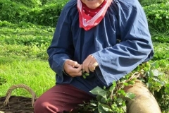 jep 2018 (19)