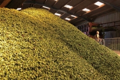 jep 2018 houblon hangar